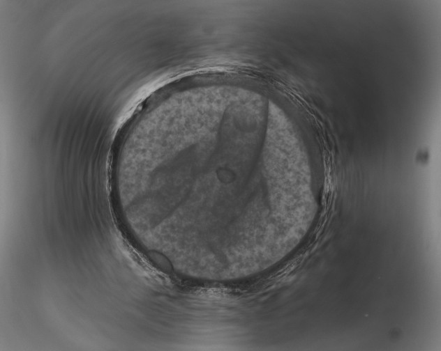 X0000115510244200912041108