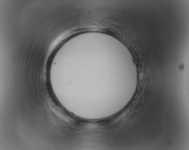 X0000115510246200912041108