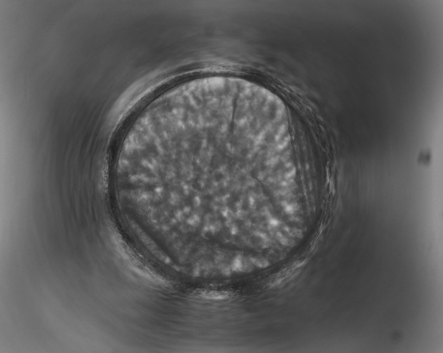 X0000115510247200912041108