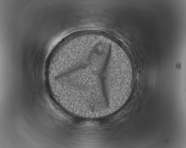 X0000115510248200912041108