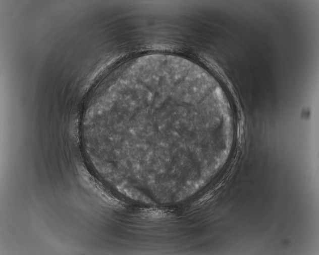 X0000115510249200912041108