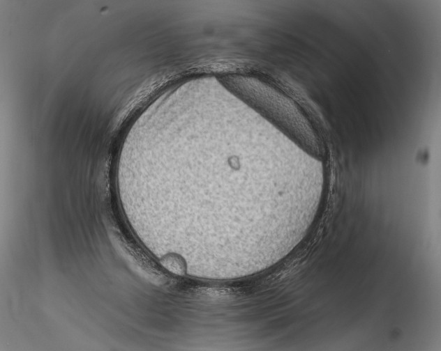 X0000115510250200912041108