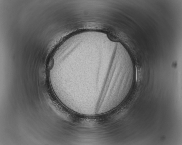 X0000115510252200912041108