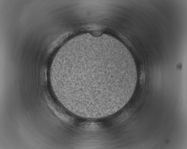 X0000115510254200912041108