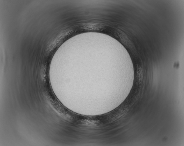 X0000115510255200912041108