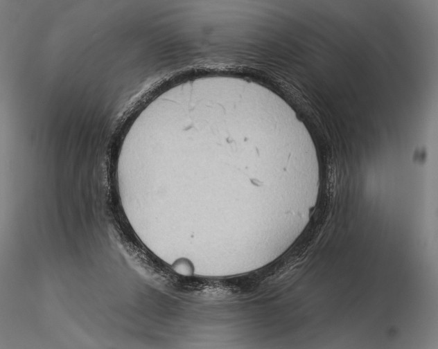 X0000115510256200912041108