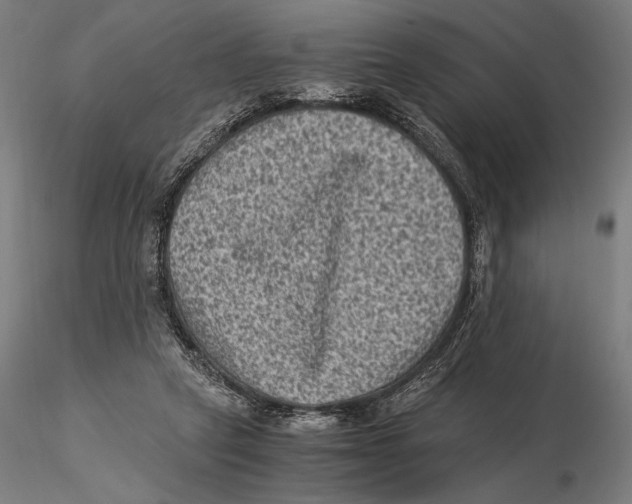 X0000115510257200912041108