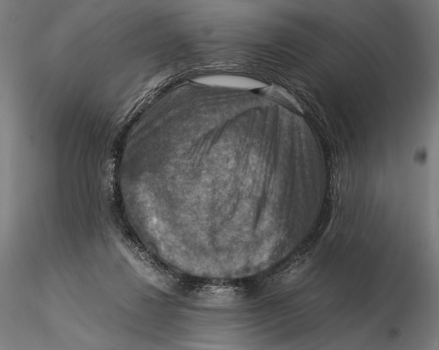 X0000115510260200912041108