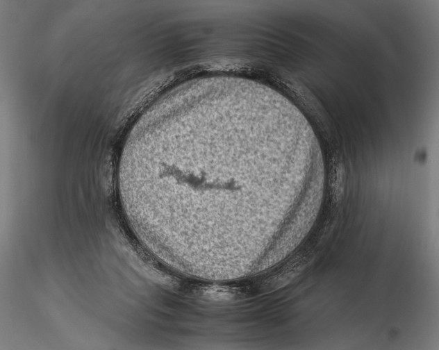 X0000115510261200912041108