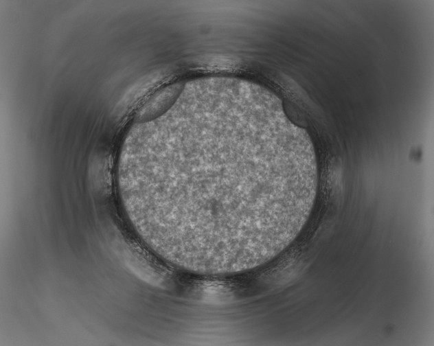 X0000115510264200912041108