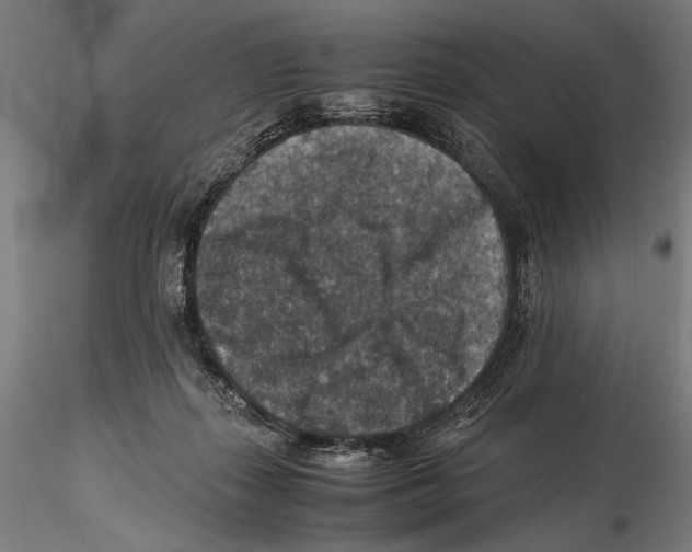 X0000115510267200912041108