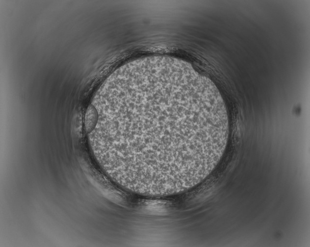 X0000115510268200912041108