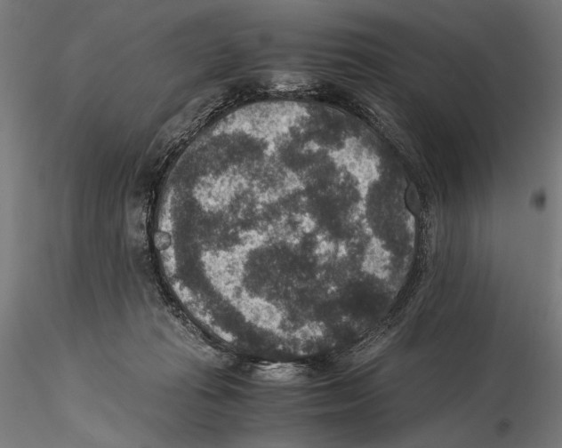 X0000115510269200912041108