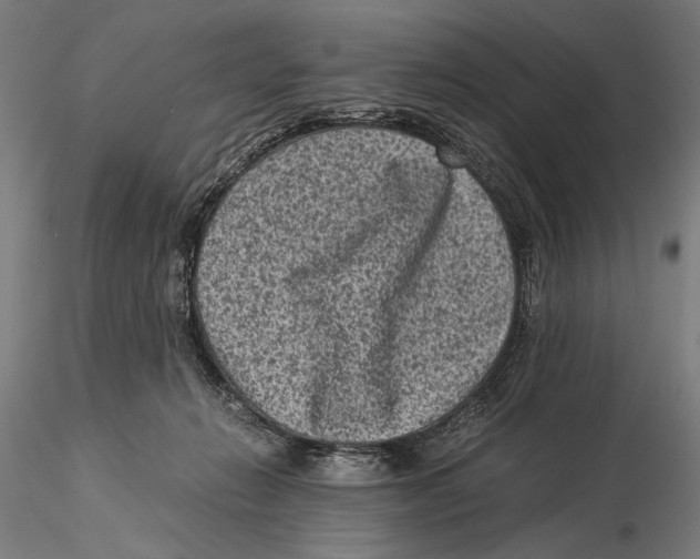 X0000115510270200912041108