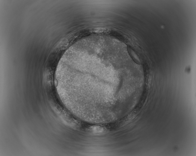 X0000115510272200912041108