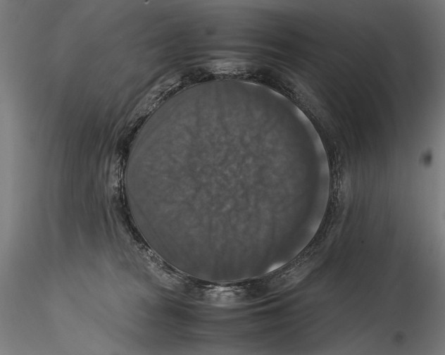 X0000115510277200912041109