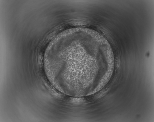 X0000115510281200912041109