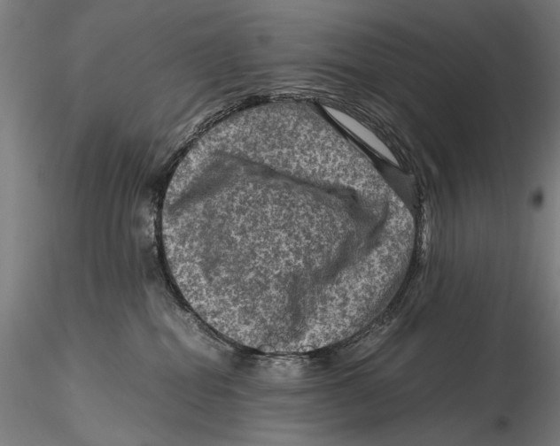 X0000115510282200912041109