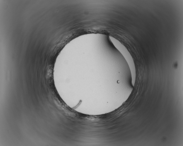 X0000115510284200912041109