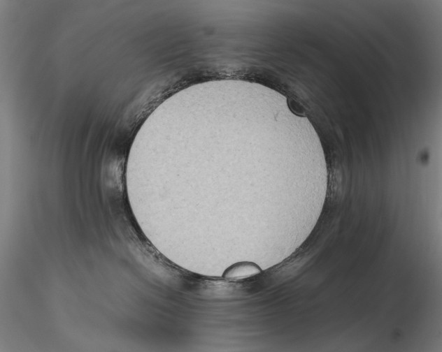 X0000115510286200912041109