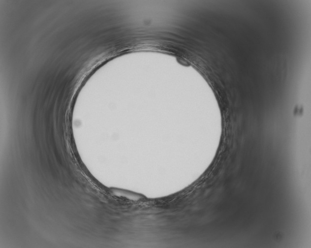 X0000115510289200912041108