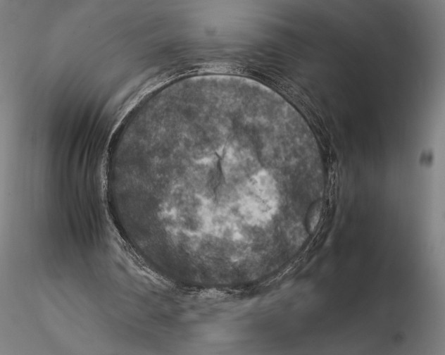 X0000115510290200912041108