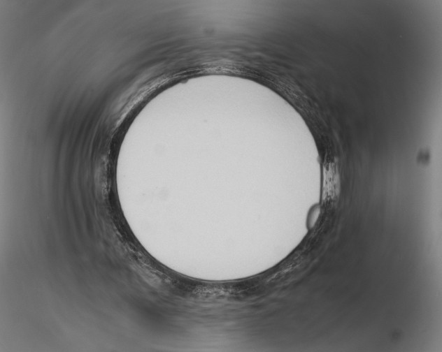 X0000115510291200912041108