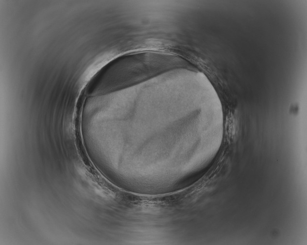 X0000115510292200912041108