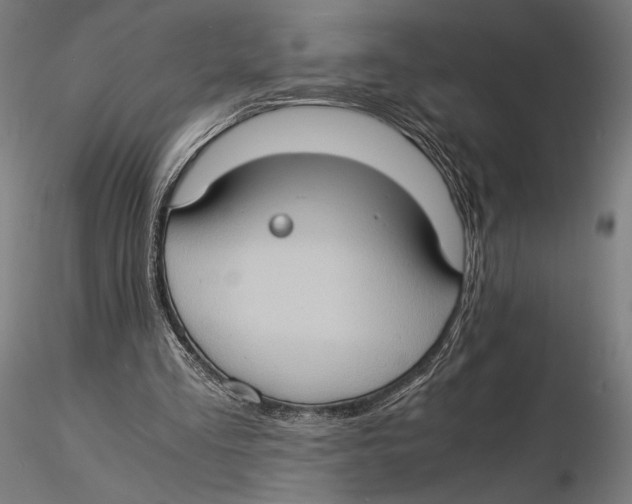 X0000115510293200912041108