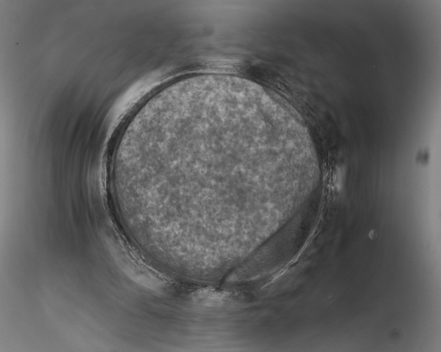 X0000115510294200912041108