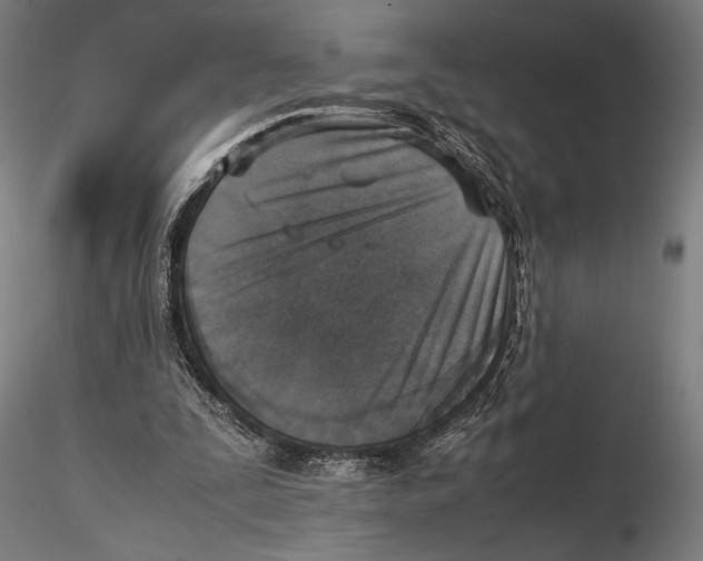 X0000115510295200912041108