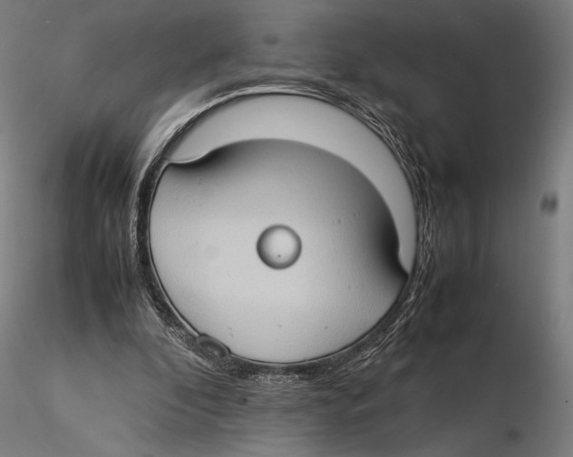 X0000115510296200912041108