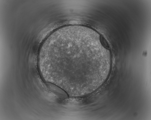 X0000115510297200912041108