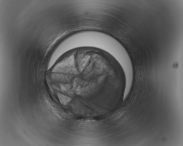 X0000115510304200912041108