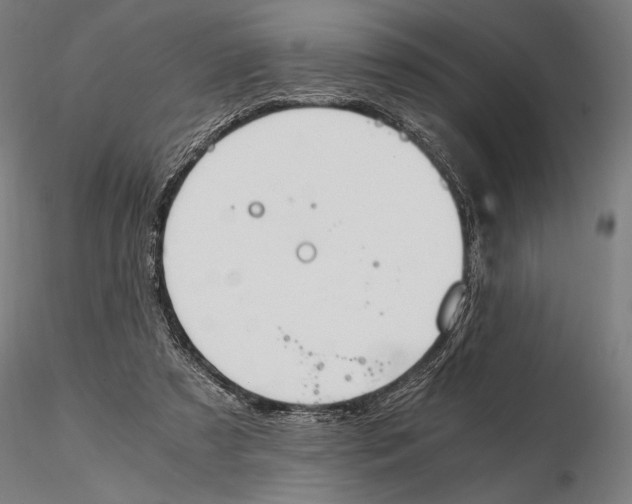 X0000115510305200912041108