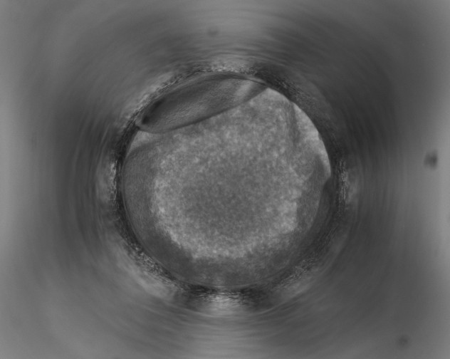 X0000115510308200912041108