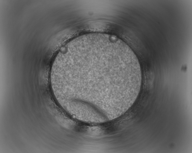 X0000115510309200912041108