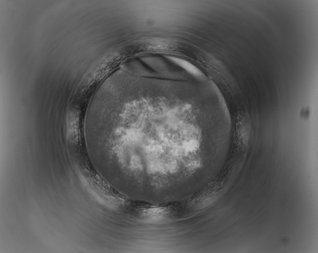 X0000115510312200912041108