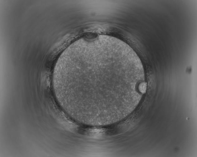 X0000115510313200912041108