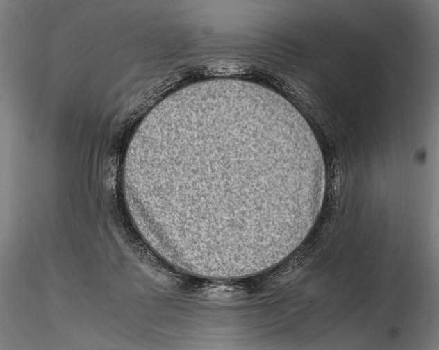 X0000115510315200912041108