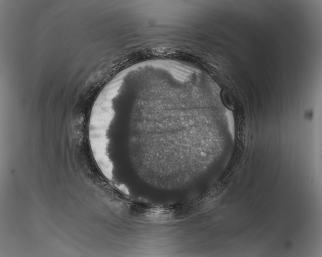 X0000115510319200912041107