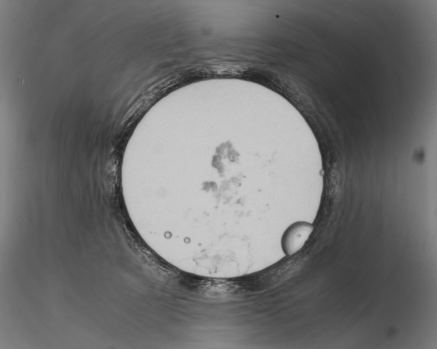 X0000115510321200912041107