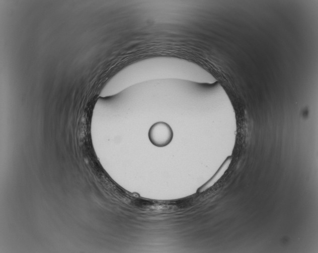 X0000115510323200912041107