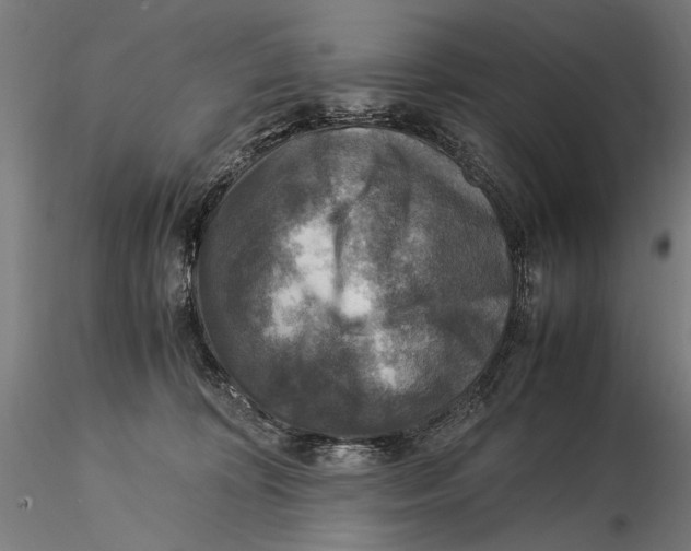 X0000115510324200912041107