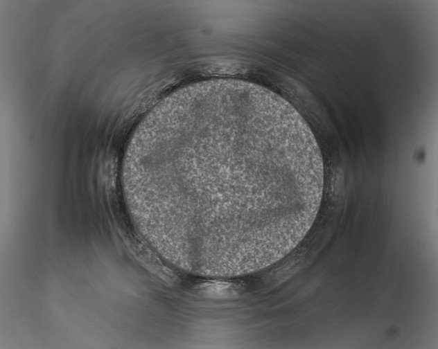 X0000115510326200912041107