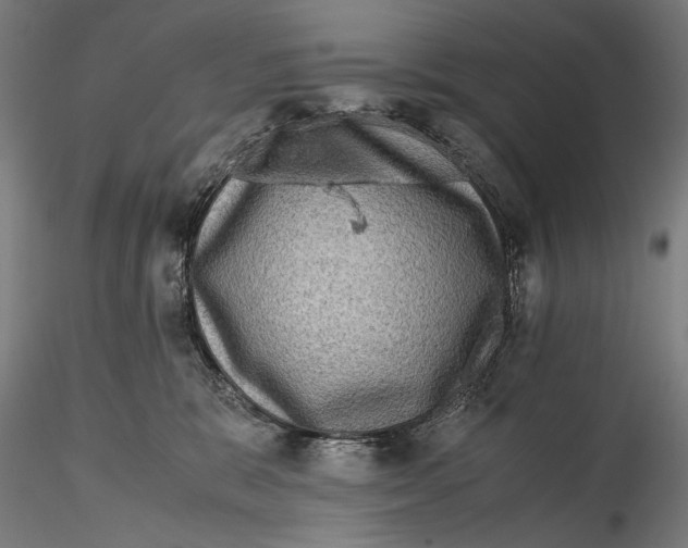 X0000115510327200912041107