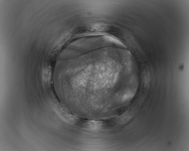 X0000115510328200912041107