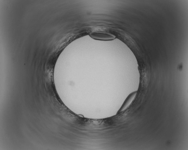 X0000115510329200912041107