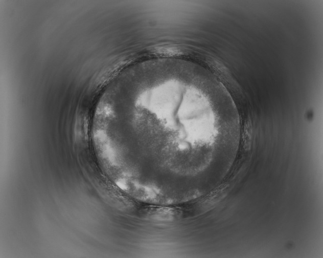 X0000115510330200912041107