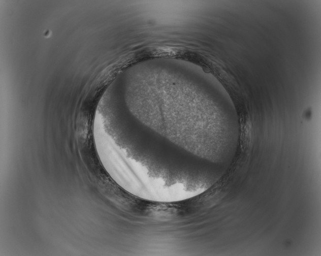 X0000115510331200912041107